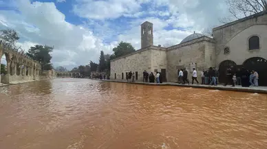 Şanlıurfa'da sağanak Balıklıgöl'ün suyunu bulandırdı