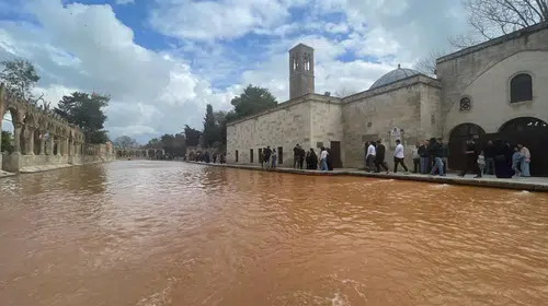 Şanlıurfa'da sağanak Balıklıgöl'ün suyunu bulandırdı